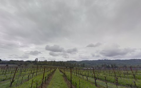 Winery «Matanzas Creek Winery», reviews and photos, 6097 Bennett Valley Rd, Santa Rosa, CA 95404, USA