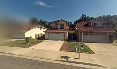 Petworth dog grooming