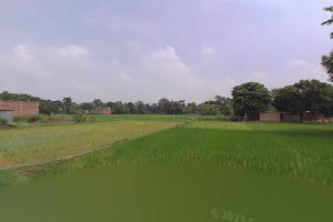 kanuani kalyanpur image