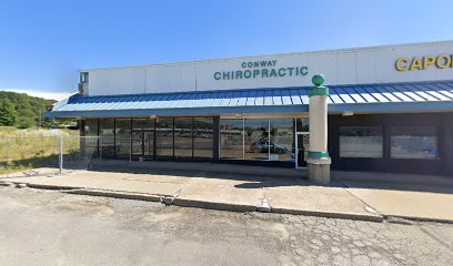 Conway Chiropractic - Pet Food Store in Baden Pennsylvania