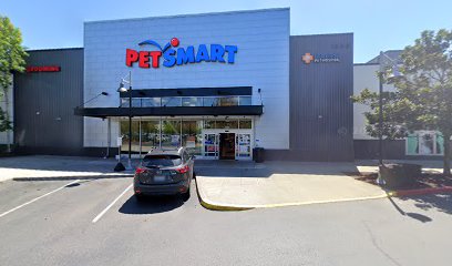 PetSmart Dog Training