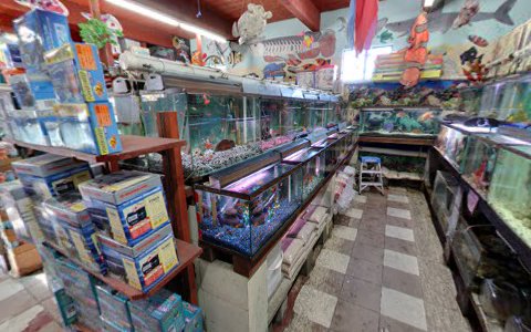 Tropical Fish Store «Superway Aquarium», reviews and photos, 177 Tennyson Rd, Hayward, CA 94544, USA