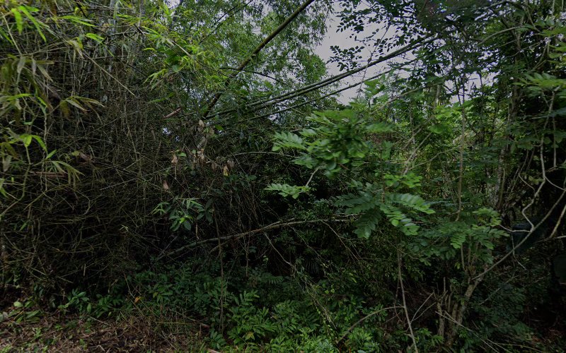 Menikmati Keindahan Taman Peringatan di Kabupaten Bangkalan: Gununglumpur Bujel Tasek Laki, Tugu Adipura Bangkalan, Gununglumpur Bujel Tasek Bini