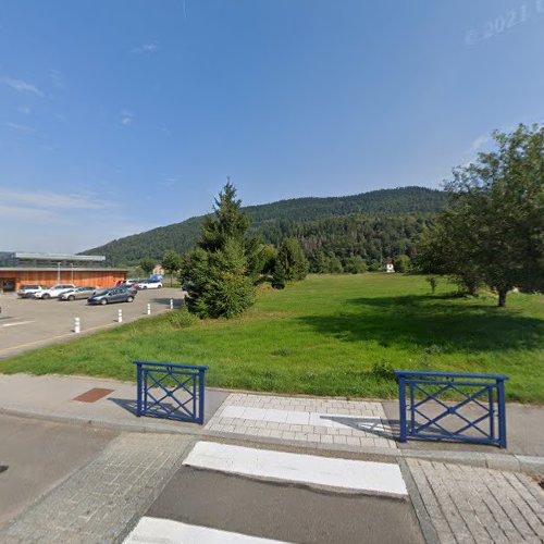 École primaire Ecole Primaire du Fossard Saint-Étienne-lès-Remiremont