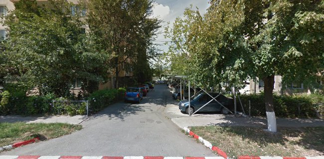 Strada Ion Creanga nr. 55,Bloc 407,Scara A,Parter, Alexandria 140053, România