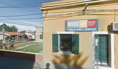 Ministerio de Trabajo y Seguridad Social (MTSS)