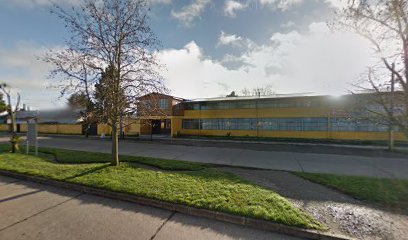 Liceo Manuel Bulnes