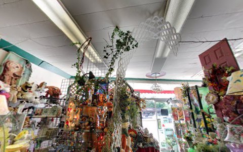 Florist «Gift Hut & Flowers», reviews and photos, 22086 Lorain Rd, Cleveland, OH 44126, USA