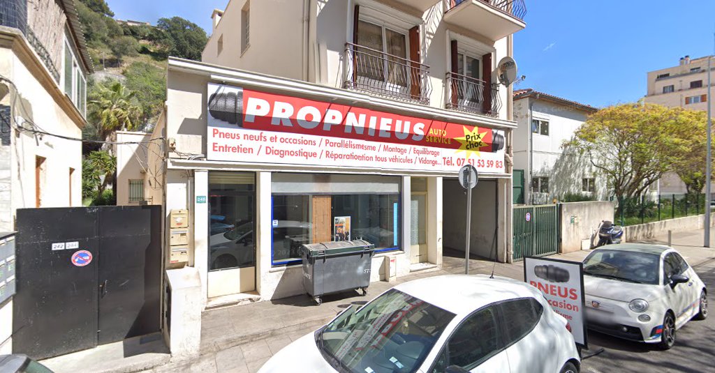 Propneus Auto Service à Nice (Alpes-Maritimes 06)
