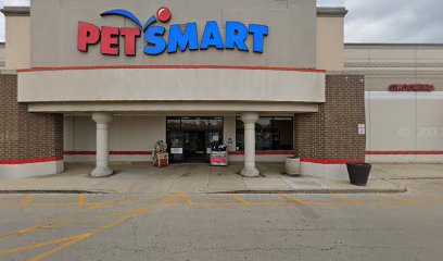 PetSmart Doggie Day Camp