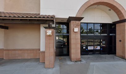 PetSmart Dog Training