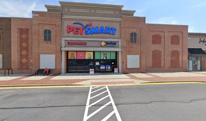 PetSmart Dog Training