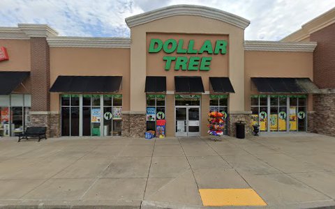 Dollar Store «Dollar Tree», reviews and photos, 1024 Crossings Blvd, Spring Hill, TN 37174, USA