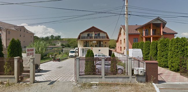 Bulevardul Traian, Peștișu Mare 331004, România