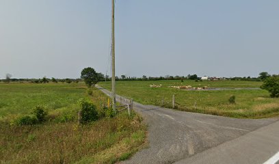SummerMill farm