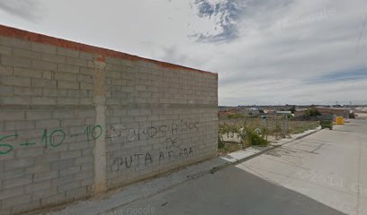 Injerto y pelado pistacho y almendro Montera en Quintanar del Rey