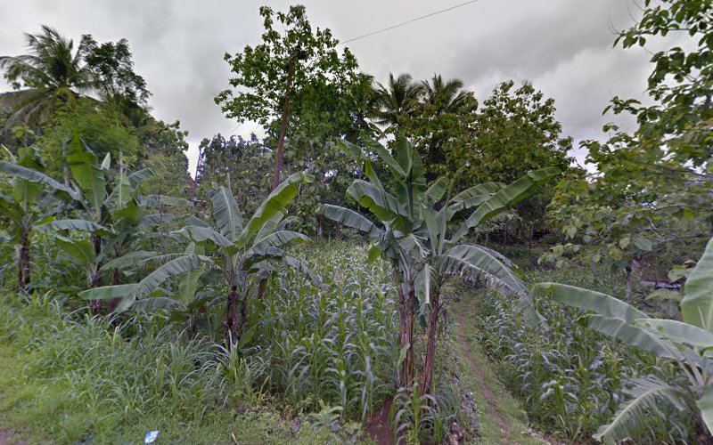 Taman Kanak-kanak di Kabupaten Gunung Kidul: Menelusuri Keindahan Tempat yang Menarik