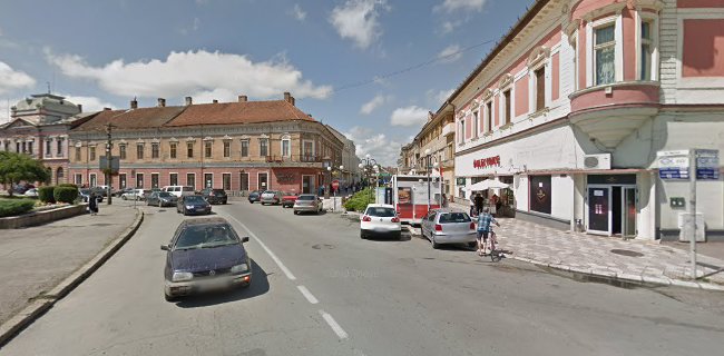 Strada Alexandru Mocioni 1, Lugoj 305500, România