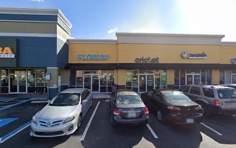 Cell Phone Store «Cricket Wireless Authorized Retailer», reviews and photos, 13161 US-301, Riverview, FL 33578, USA