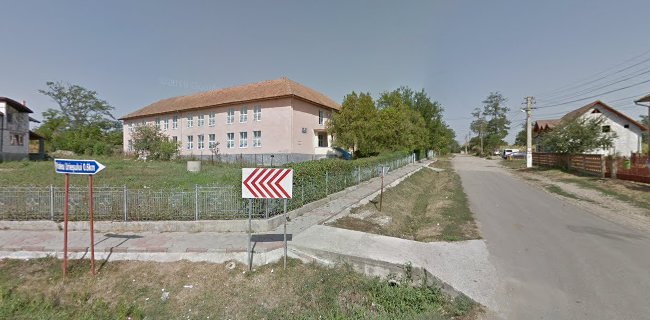 Școala Generală I-VIII Valea Largă - <nil>