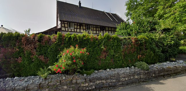Gartendesign Eicher & Co. - Gartenbauer