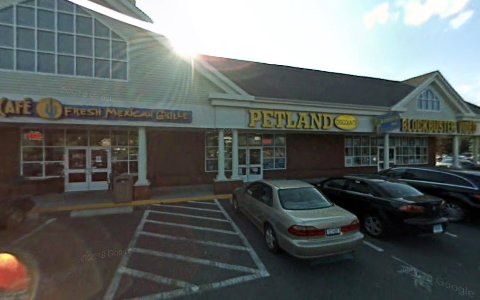 Pet Store «Pet Valu», reviews and photos, 115 Mill Plain Rd, Danbury, CT 06811, USA