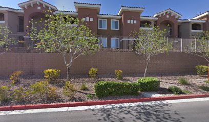 Zoomez Pet Transportation