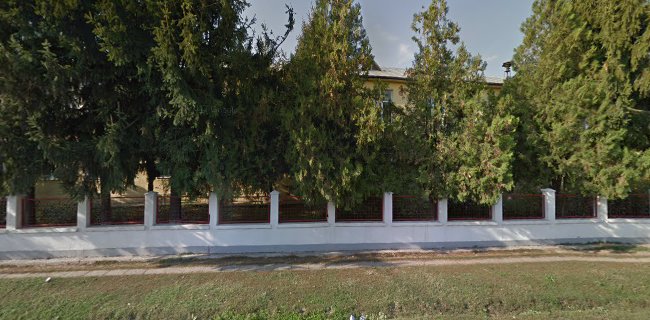 Opinii despre Școala Gimnazială Roman Ialomițeanul în Ialomița - Școală