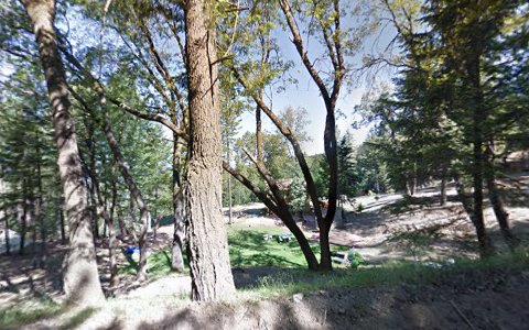 Lodge «Precious Forest», reviews and photos, 7180 Bartlett Springs Rd, Lucerne, CA 95458, USA