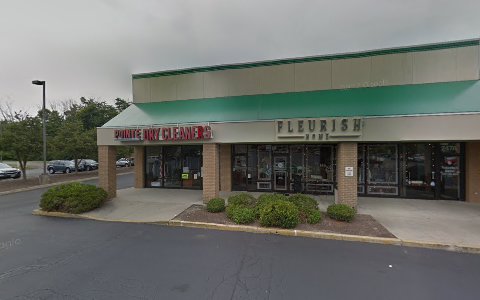 Dry Cleaner «Pointe Dry Cleaners», reviews and photos, 245 W Central Ave, Springboro, OH 45066, USA