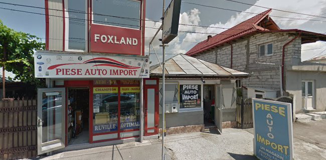 Foxland Piese Auto - <nil>
