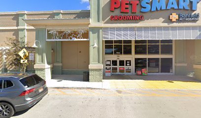 PetSmart Dog Training