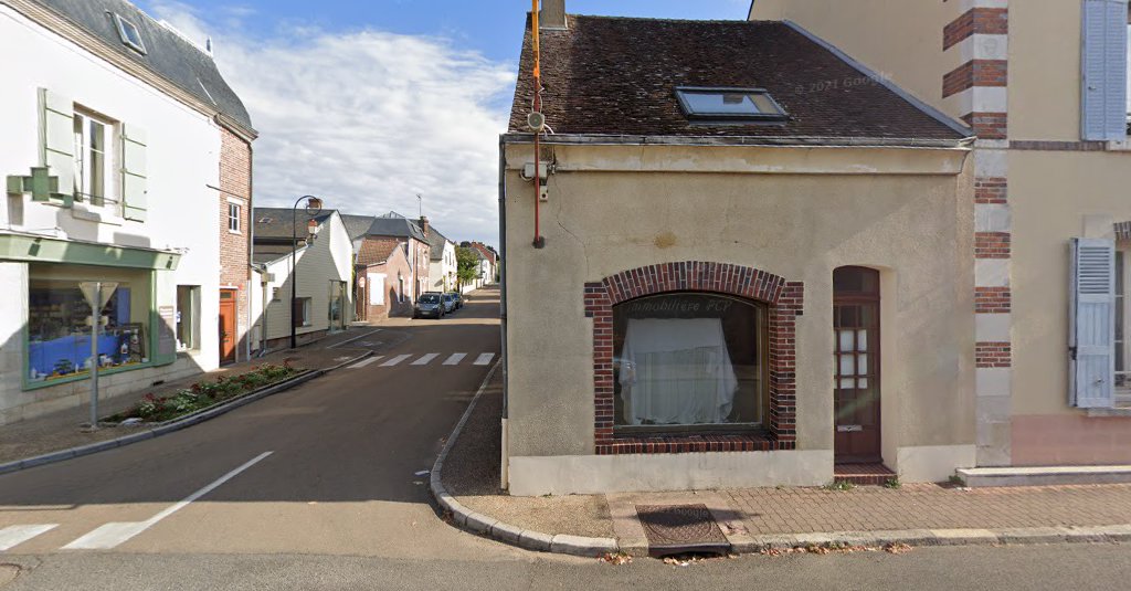 Pcp Immobiliere à Bléneau (Yonne 89)