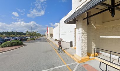 PetSmart Dog Training