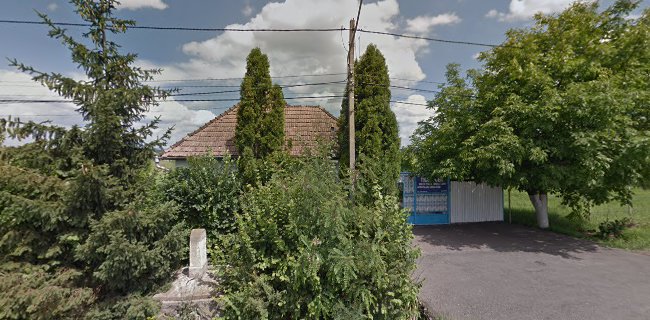 Strada Iernuțeni 165, Reghin 545300, România