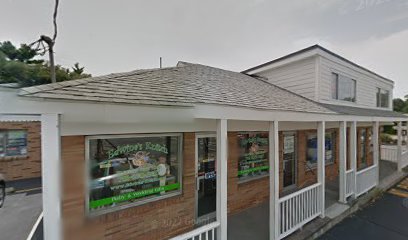 Life4orce Chiropractic - Pet Food Store in Burlington Massachusetts