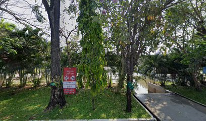 อุทยานมัจฉาวัดบ้านกร่าง Wat Ban Krang Matcha Park