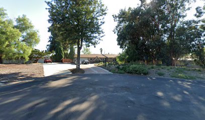 Salty Dog & Cool Cat