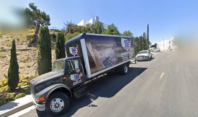 Salty Dog & Cool Cat