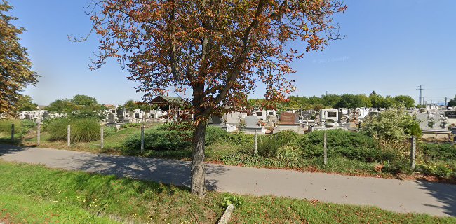 Értékelések erről a helyről: Mátyás Király utcai temető, Kisvárda - Temetkezési vállalkozás
