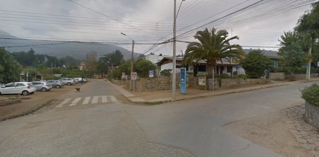 Opiniones de Vivero Zapallar en Valparaíso - Centro de jardinería