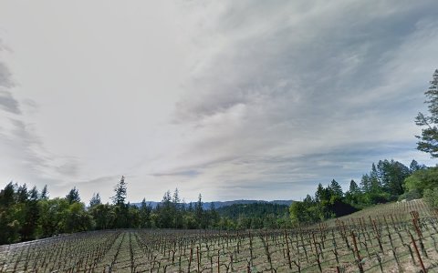 Winery «CADE Estate Winery», reviews and photos, 1234 Adams St, St Helena, CA 94574, USA