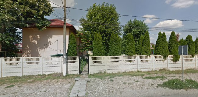 DJ401A, Clinceni, România