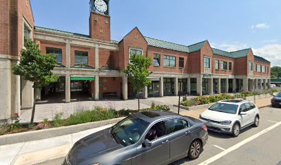Village Square Chiropractic - Pet Food Store in Needham Massachusetts