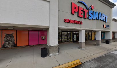 PetSmart Dog Training