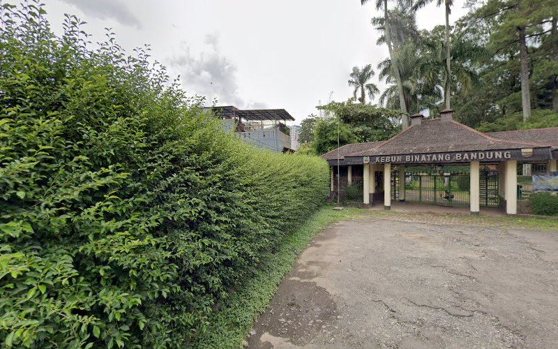 4 Tempat Menarik di Kota Bandung untuk Mengunjungi Kebun Binatang dan Margasatwa