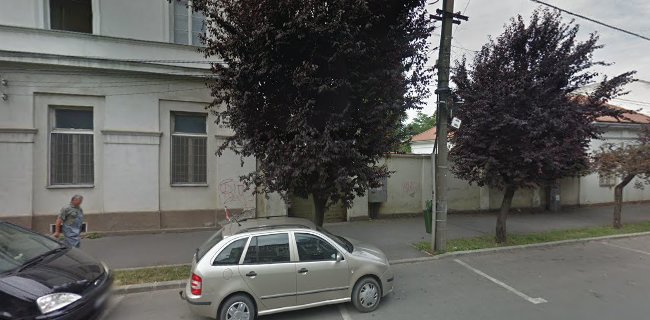 Strada Elena Ghiba Birta nr.9, Arad 310030, România