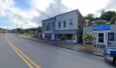 Elk River Chiropractic Center - Pet Food Store in Gassaway West Virginia
