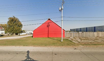 Dog Paws Dane Rescue