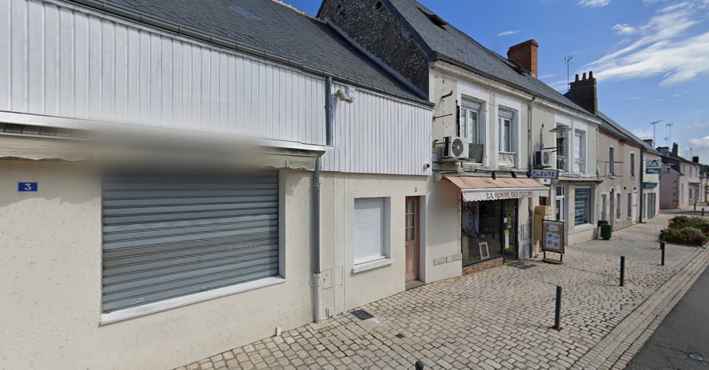 F P Immobilier à Saint-Laurent-Nouan (Loir-et-Cher 41)